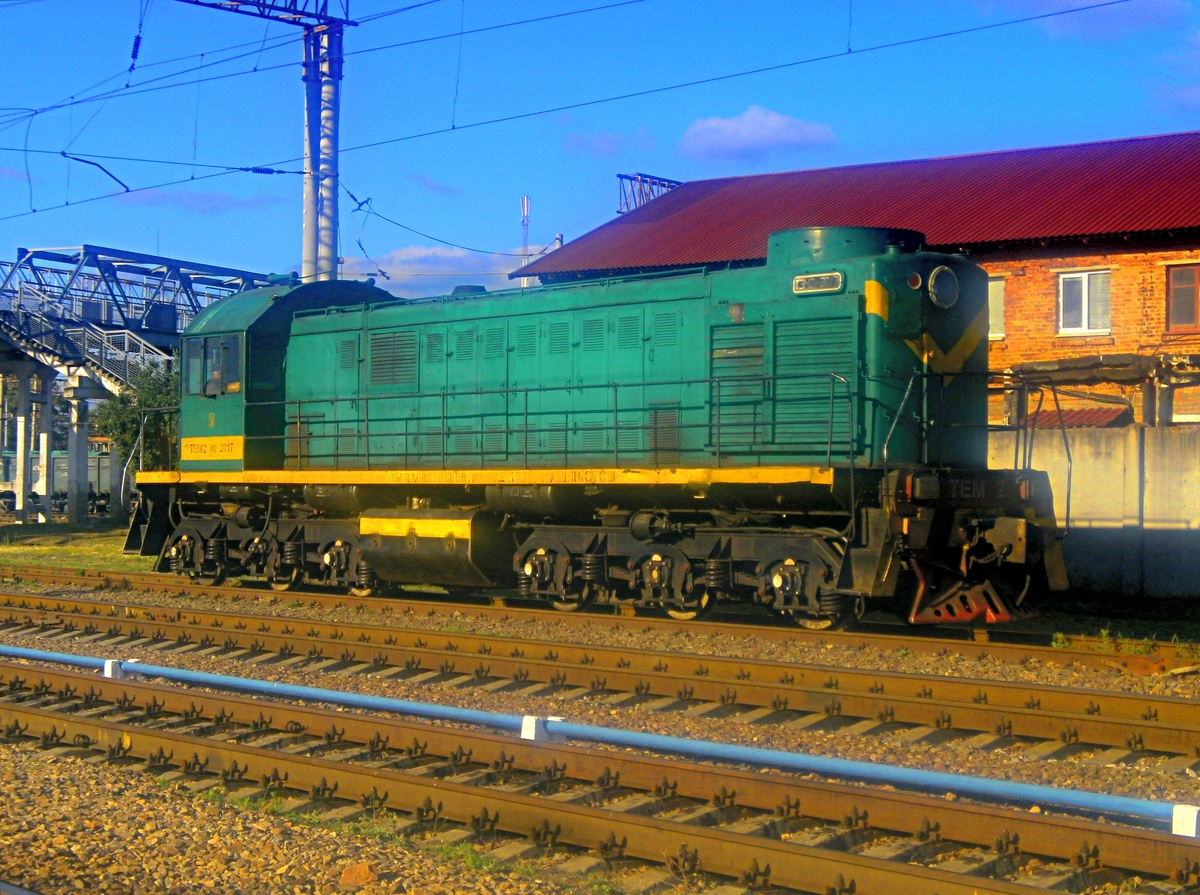 ТЭМ2-2017