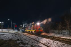 9П-18430 (Горьковская железная дорога); Ьвн.9773 (Горьковская железная дорога); ЧМЭ3-2700 (Горьковская железная дорога)