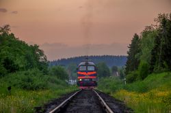 ДМ62-1742 (October Railway)