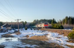 2ТЭ116-1636 (Свердловская железная дорога); ТЭМ18ДМ-287 (Свердловская железная дорога)