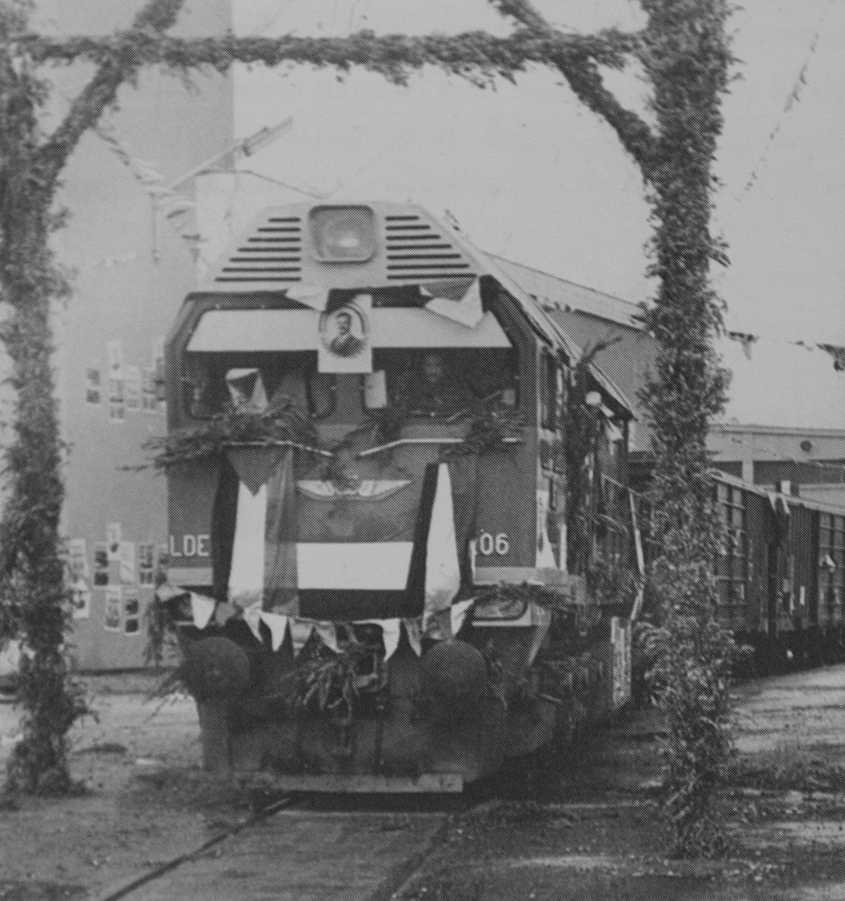 LDE2800-206