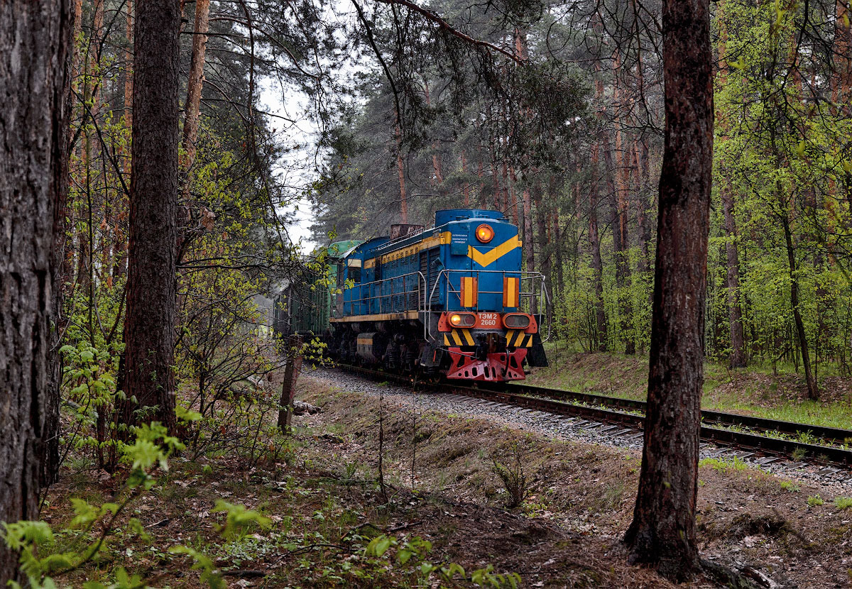 ТЭМ2-2660