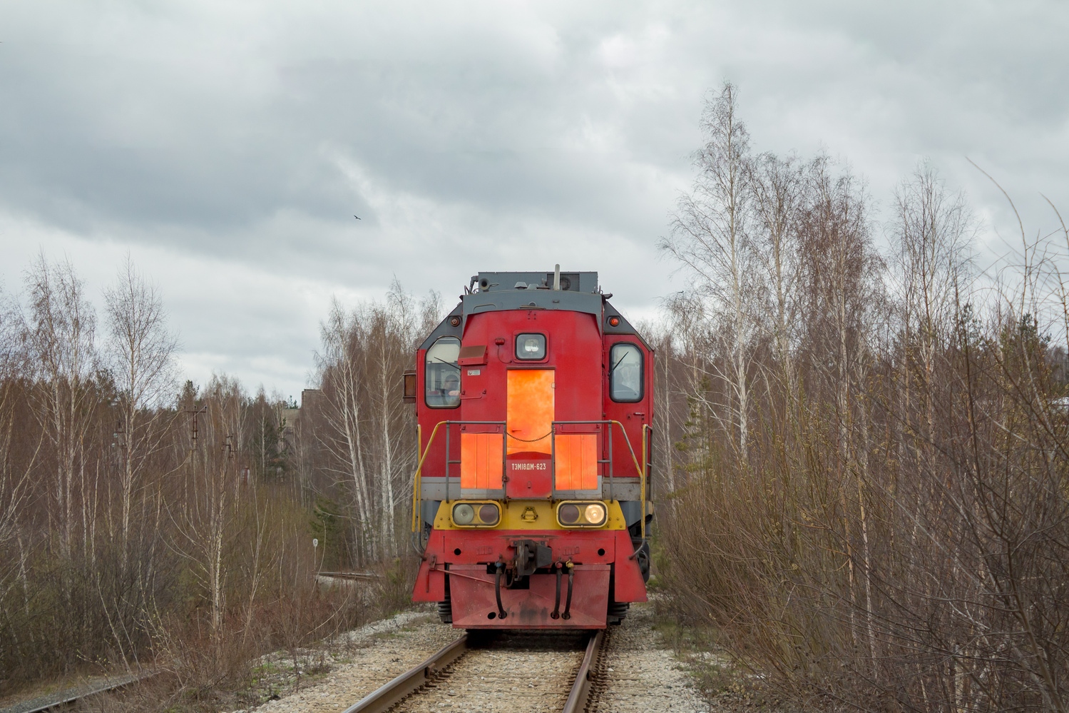 ТЭМ18ДМ-623