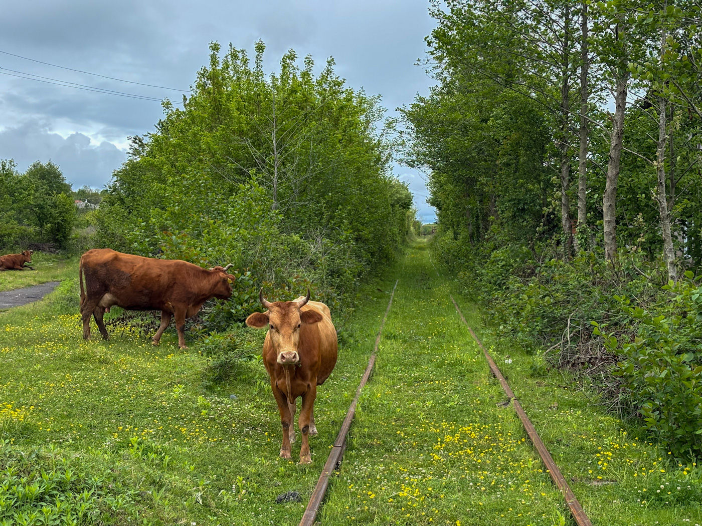 Жизнь железной дороги