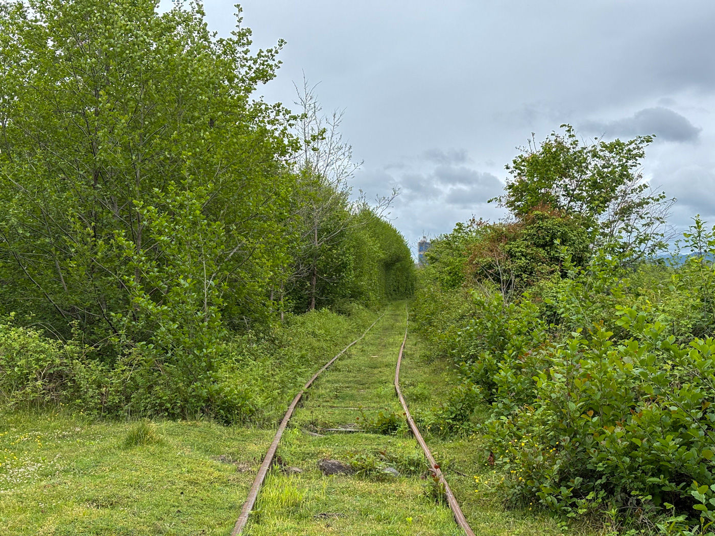 Georgian Railway &mdash; Stations & ways