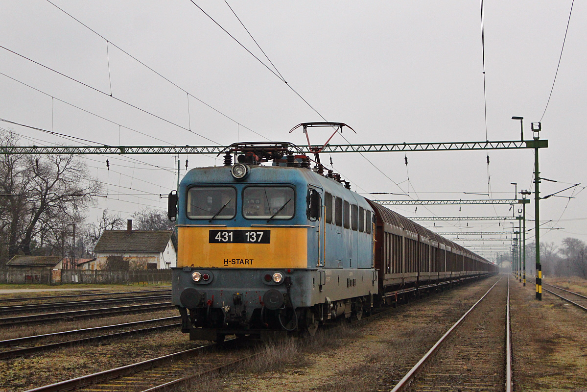 431 137