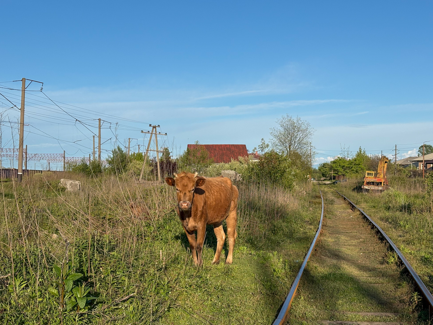 Railway Life