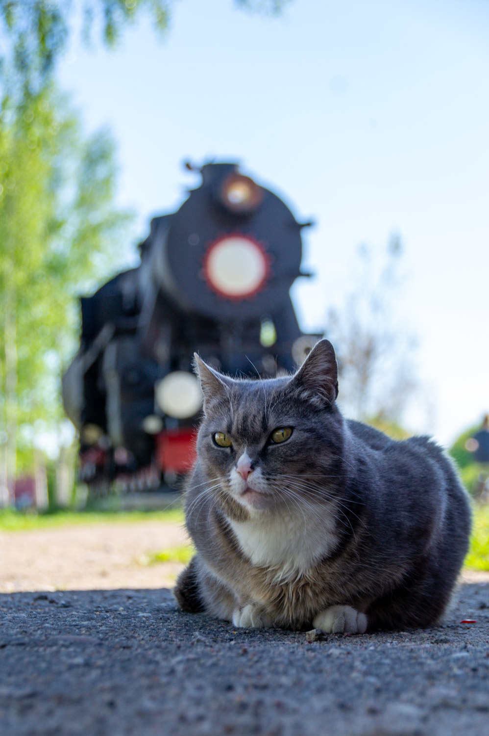 Railway Life