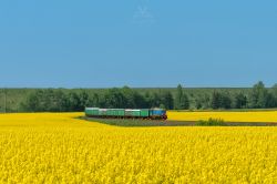 ТЭМ18ДМ-3052 (Белорусская железная дорога)