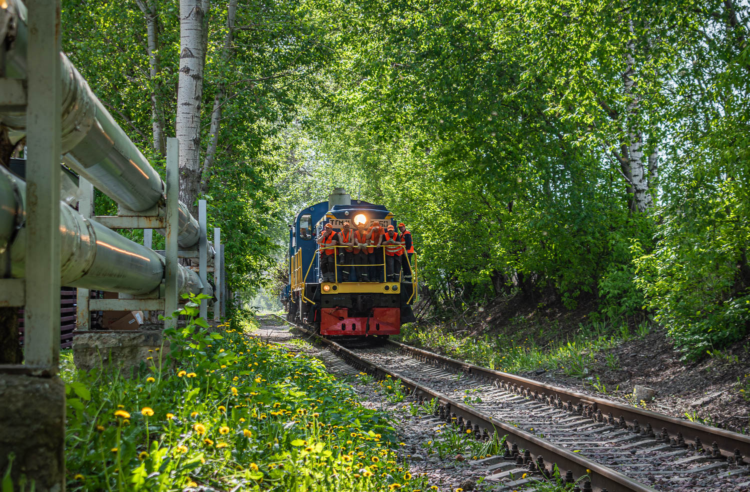 ТГМ4-2550