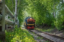 ТГМ4-2550 (Moscow Railway); КДЭ253-711 (Moscow Railway)