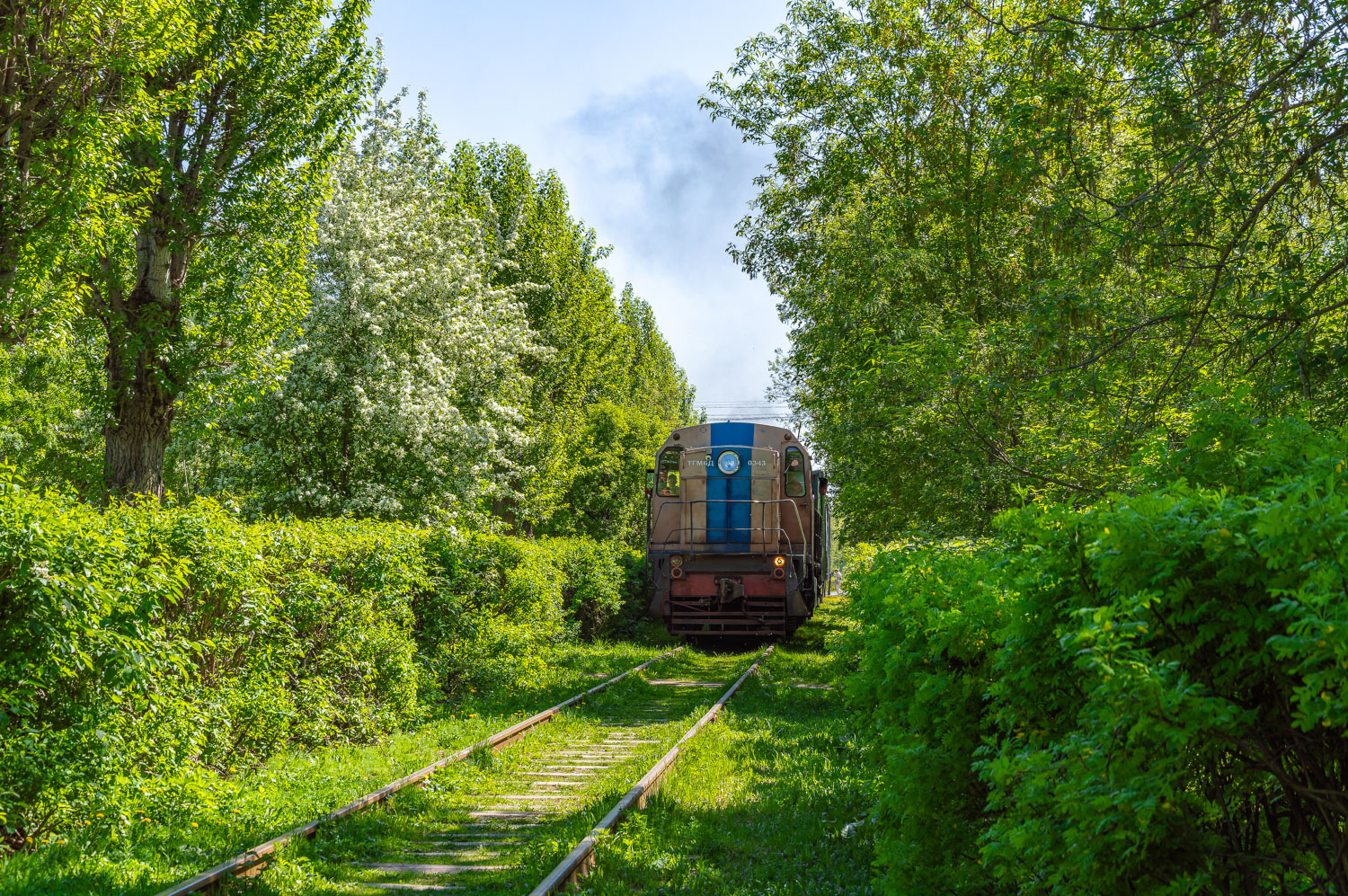 ТГМ6Д-0343