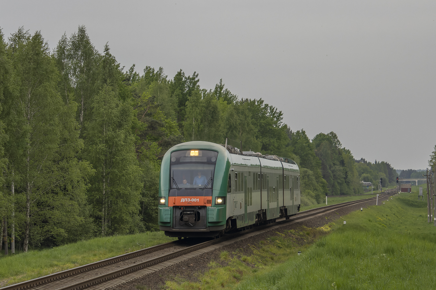 ДП3-001