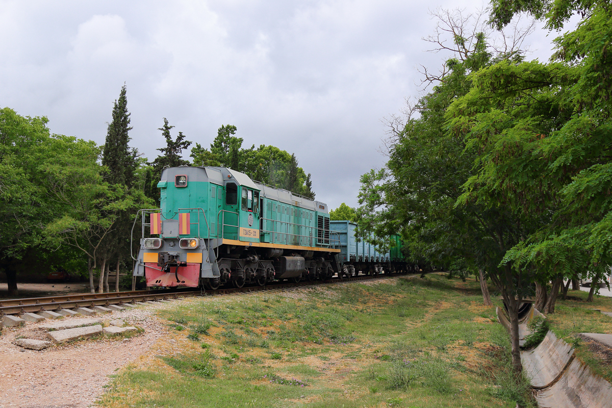 ТЭМ15-011