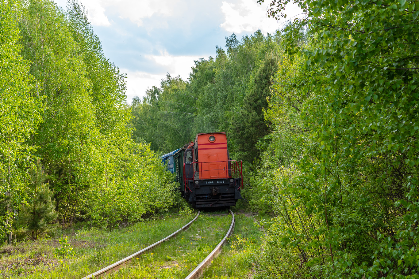 ТГМ6Д-0333