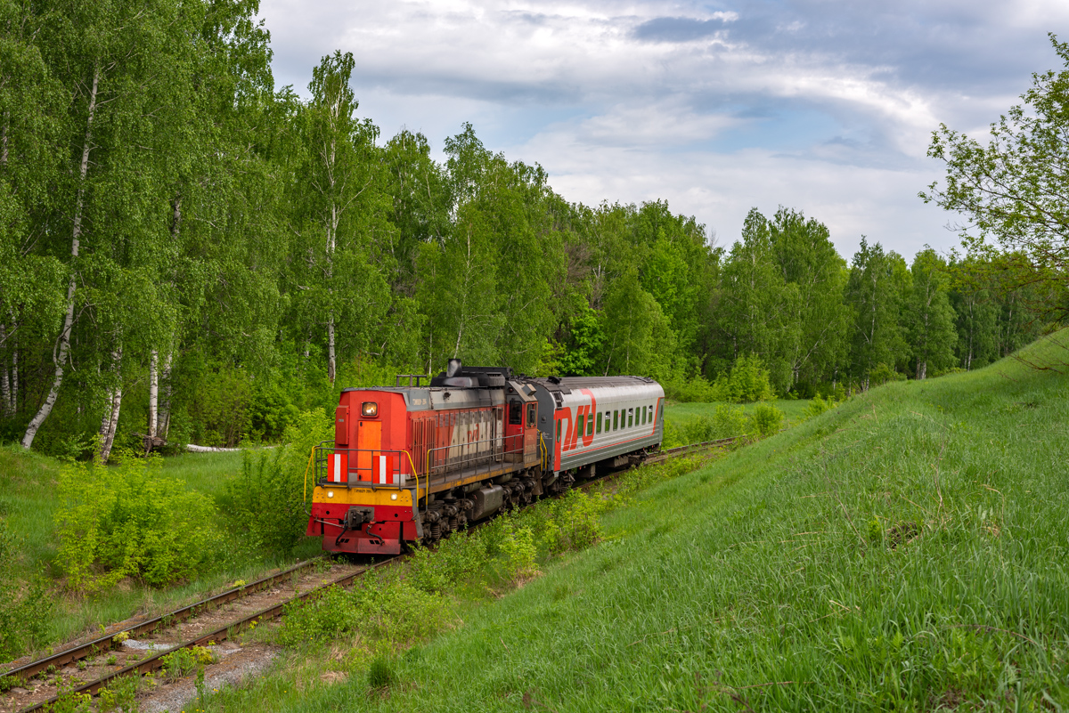 ТЭМ18ДМ-2194