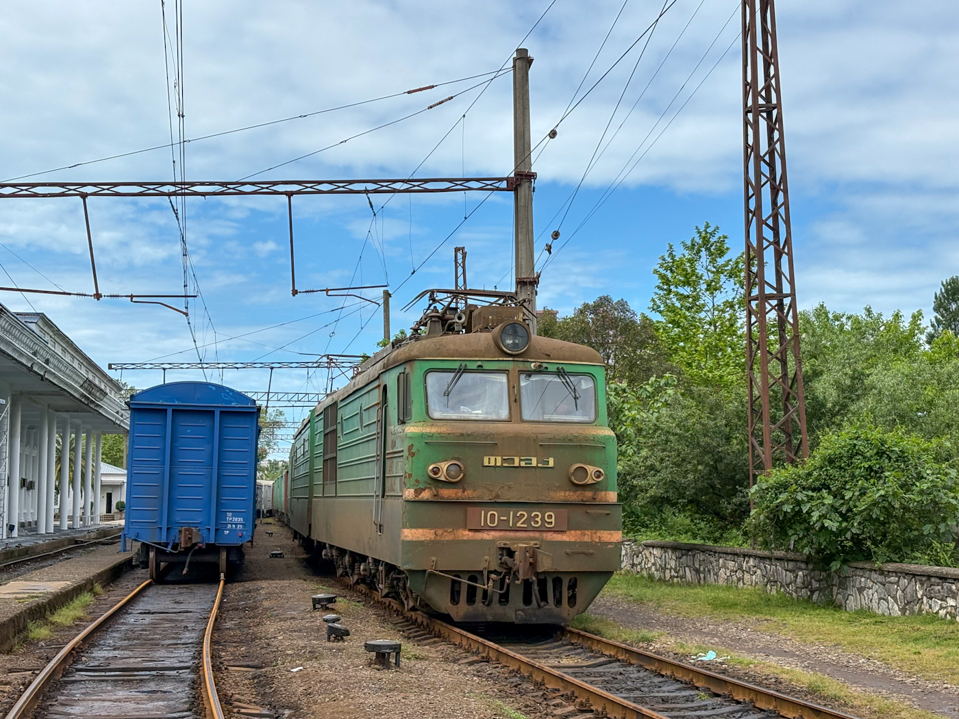 ВЛ10-1239