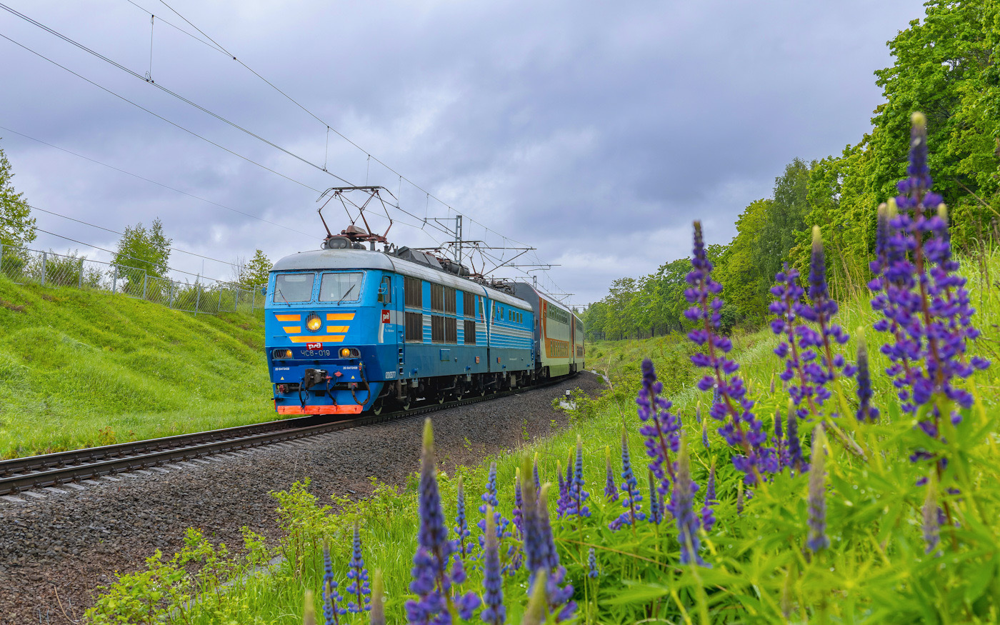ЧС6-019