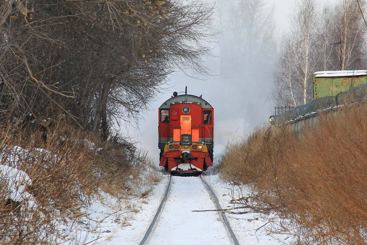 ТЭМ2-2594