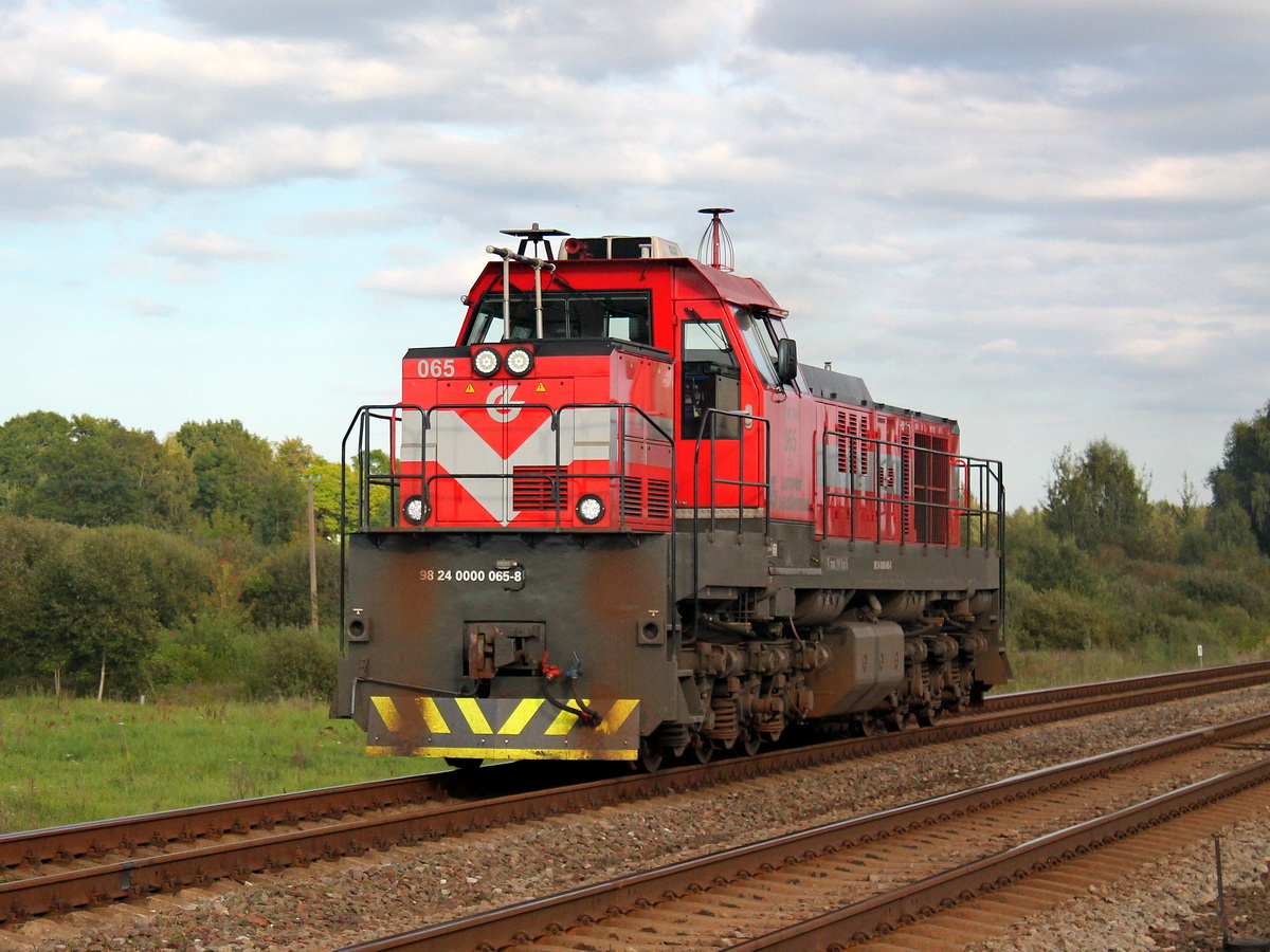 TEM-TMX-065