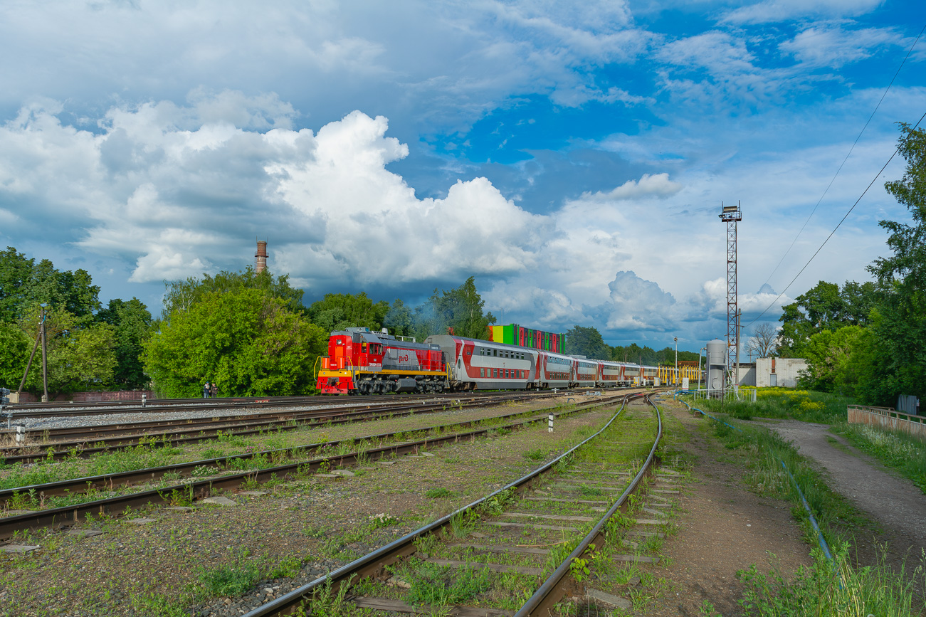 ТЭМ18ДМ-2339