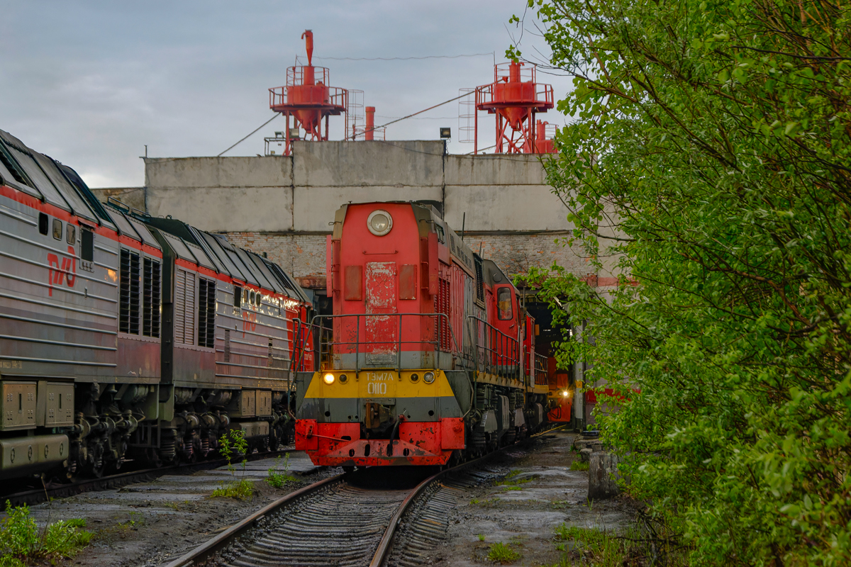 ТЭМ7А-0110