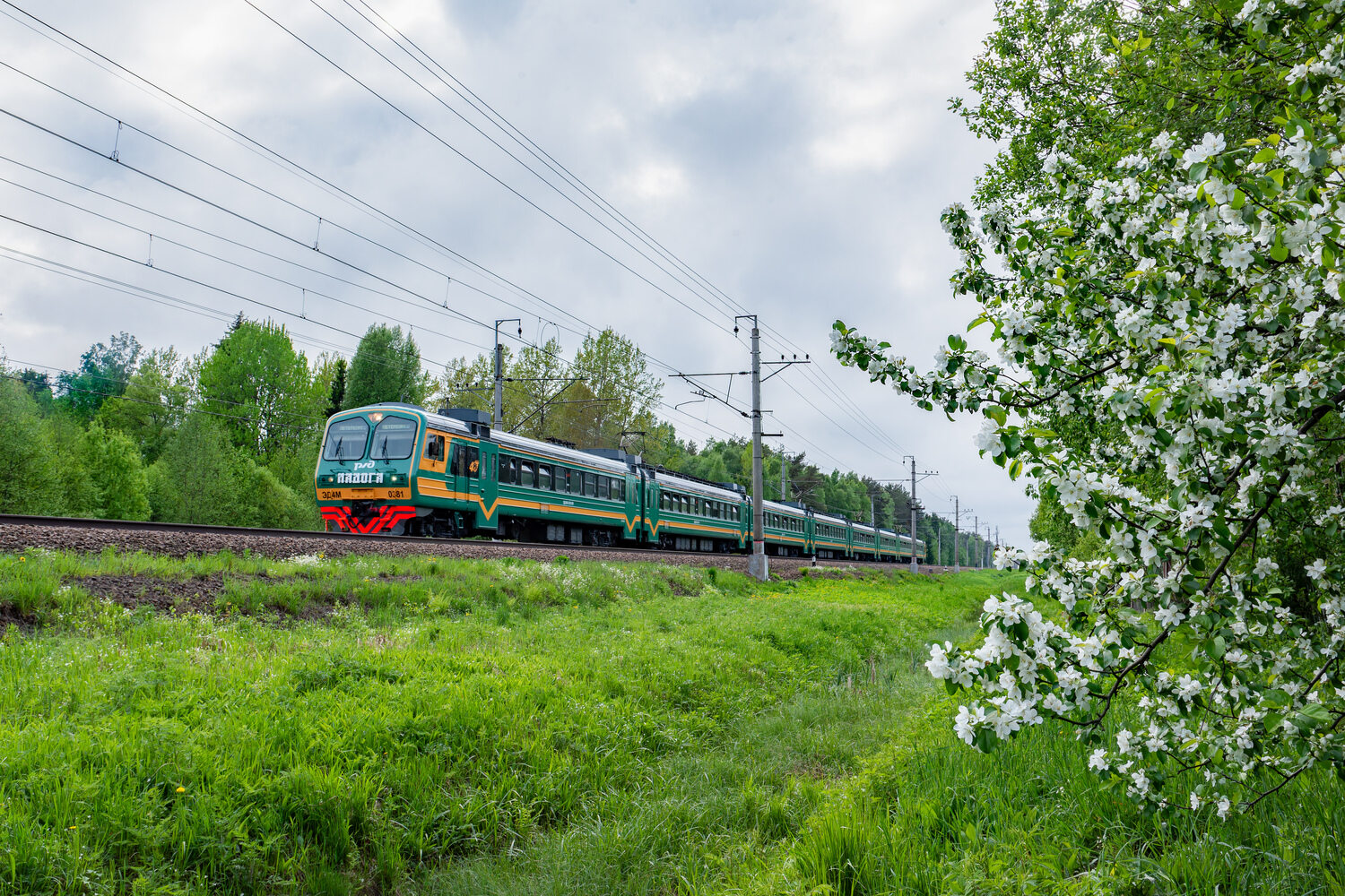 ЭД4М-0381