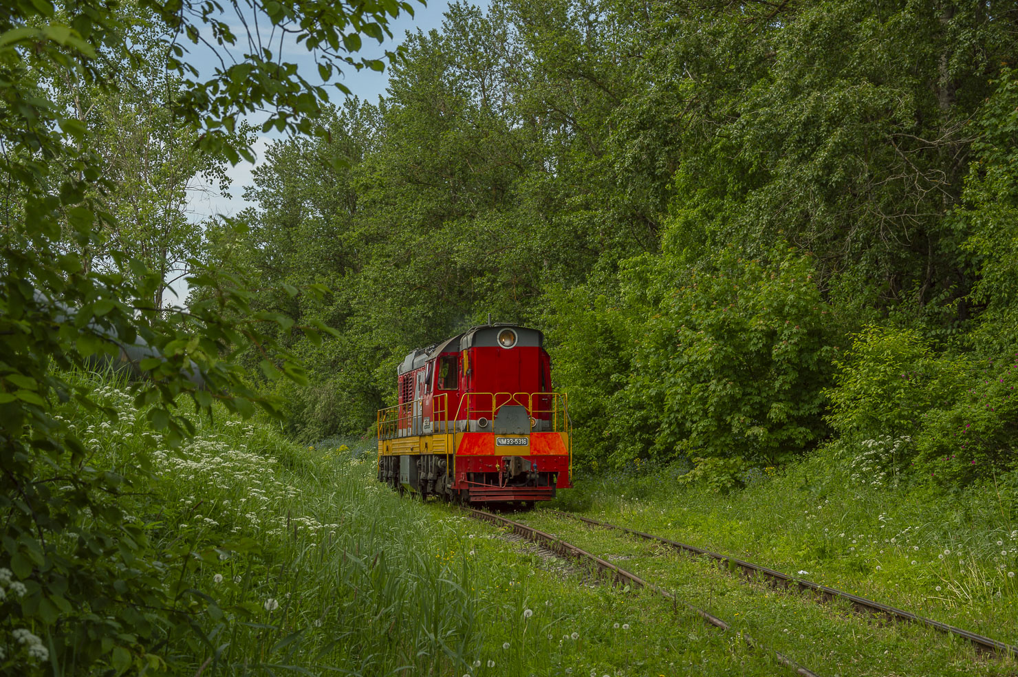 ЧМЭ3-5316