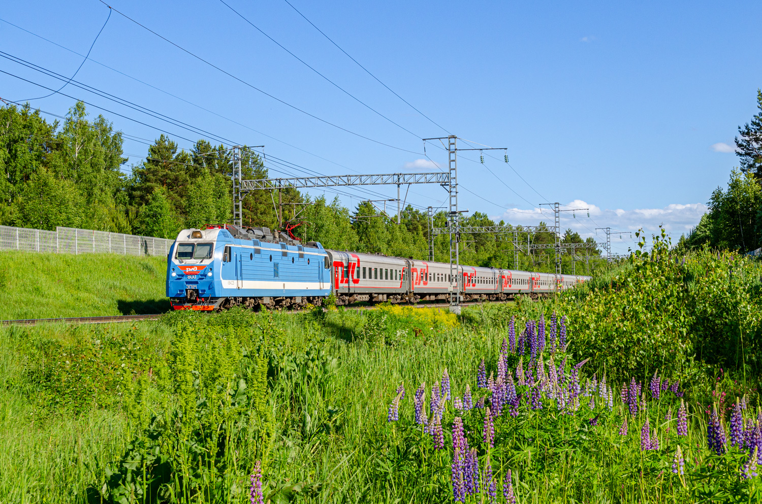 ЭП1М-800