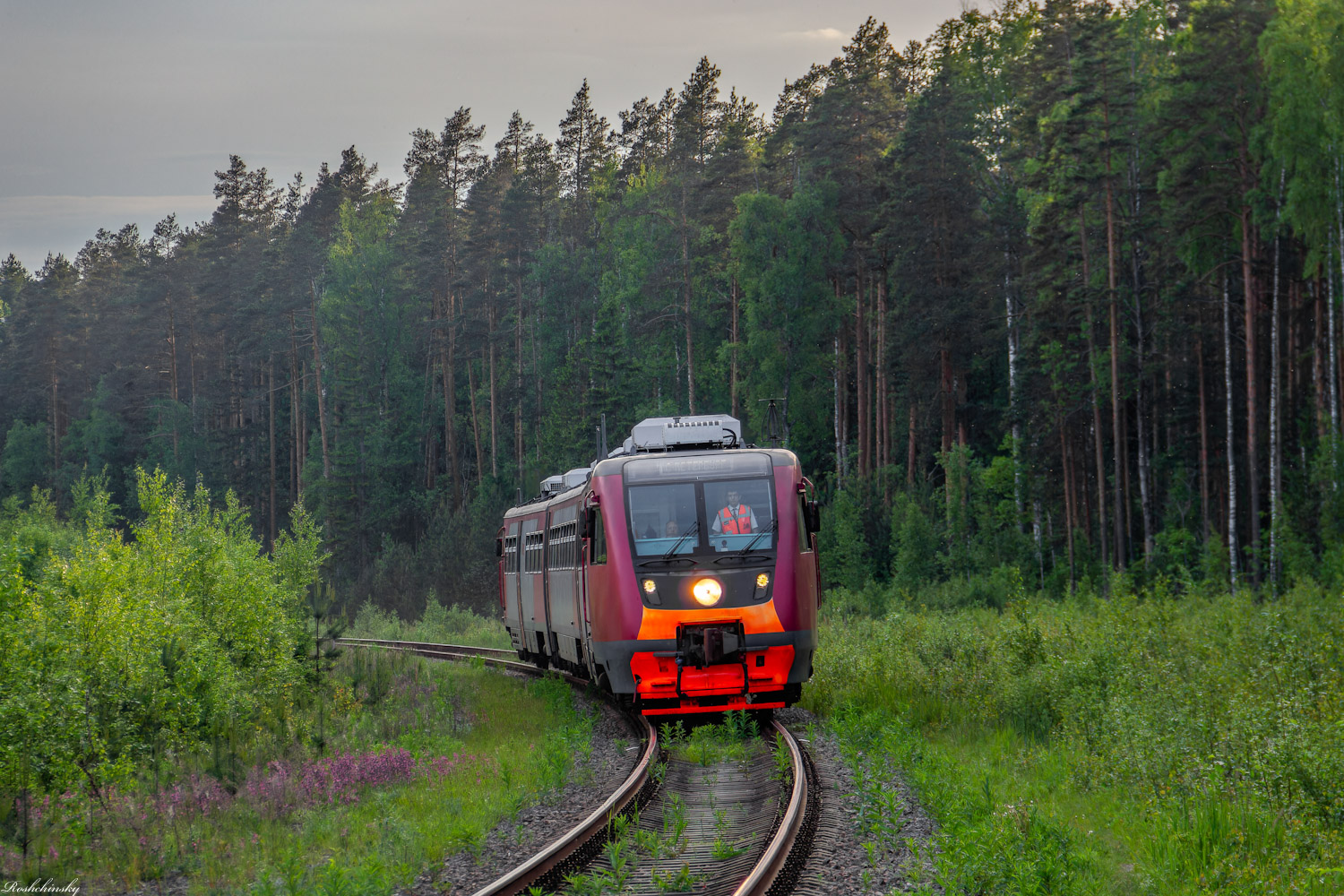 РА2-101