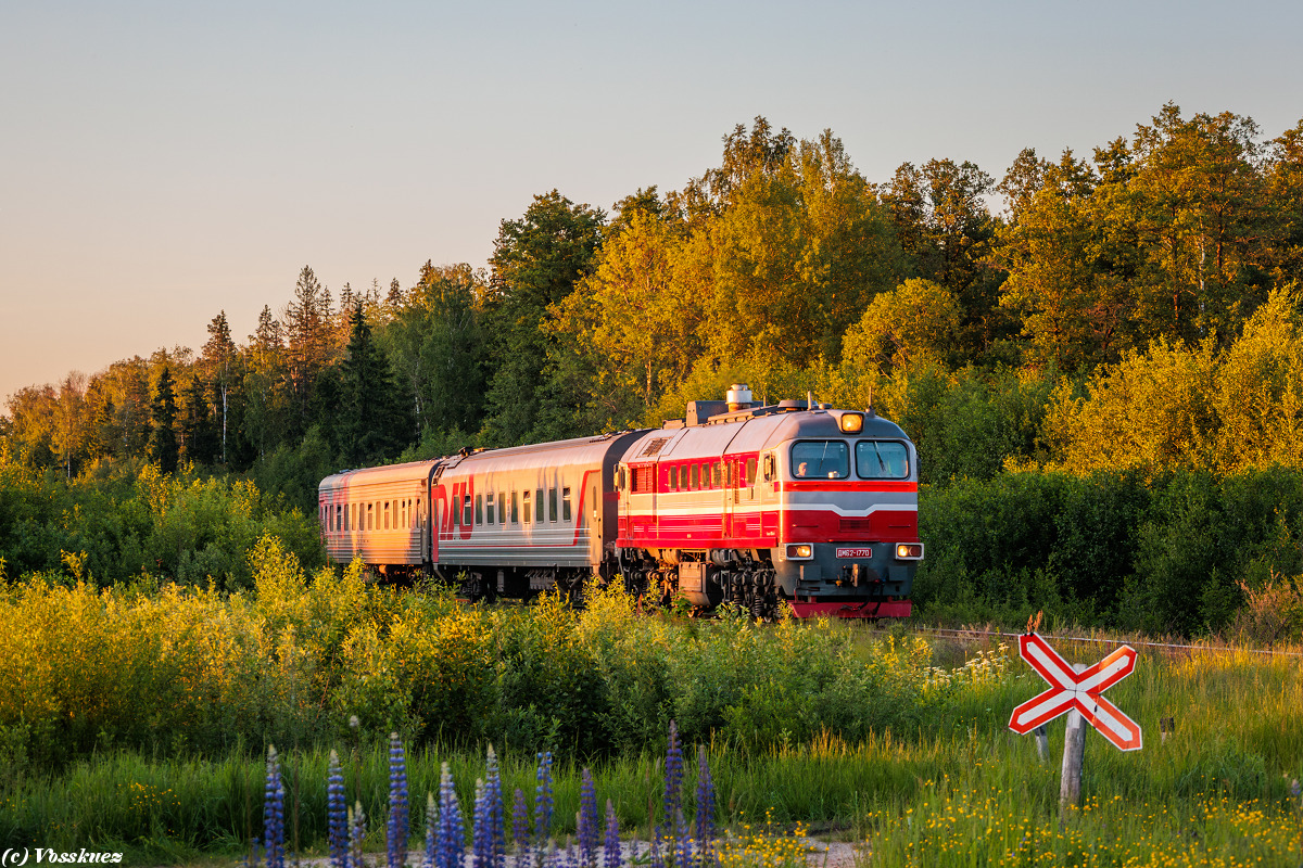 ДМ62-1770