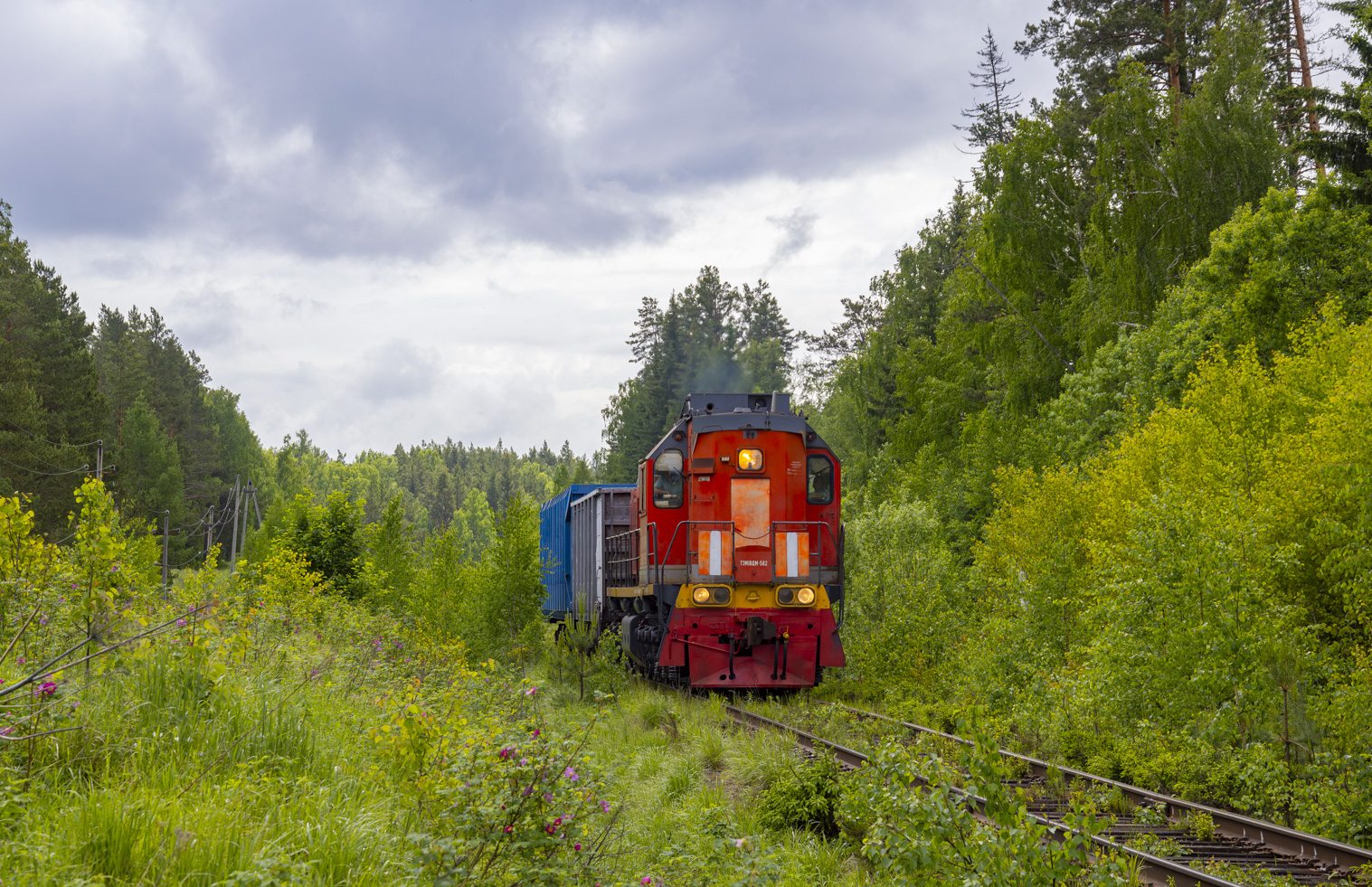 ТЭМ18ДМ-582