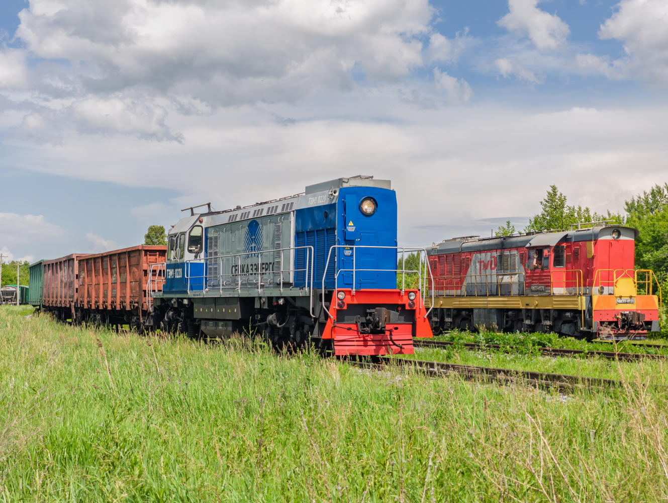 ТЭМ9-0228