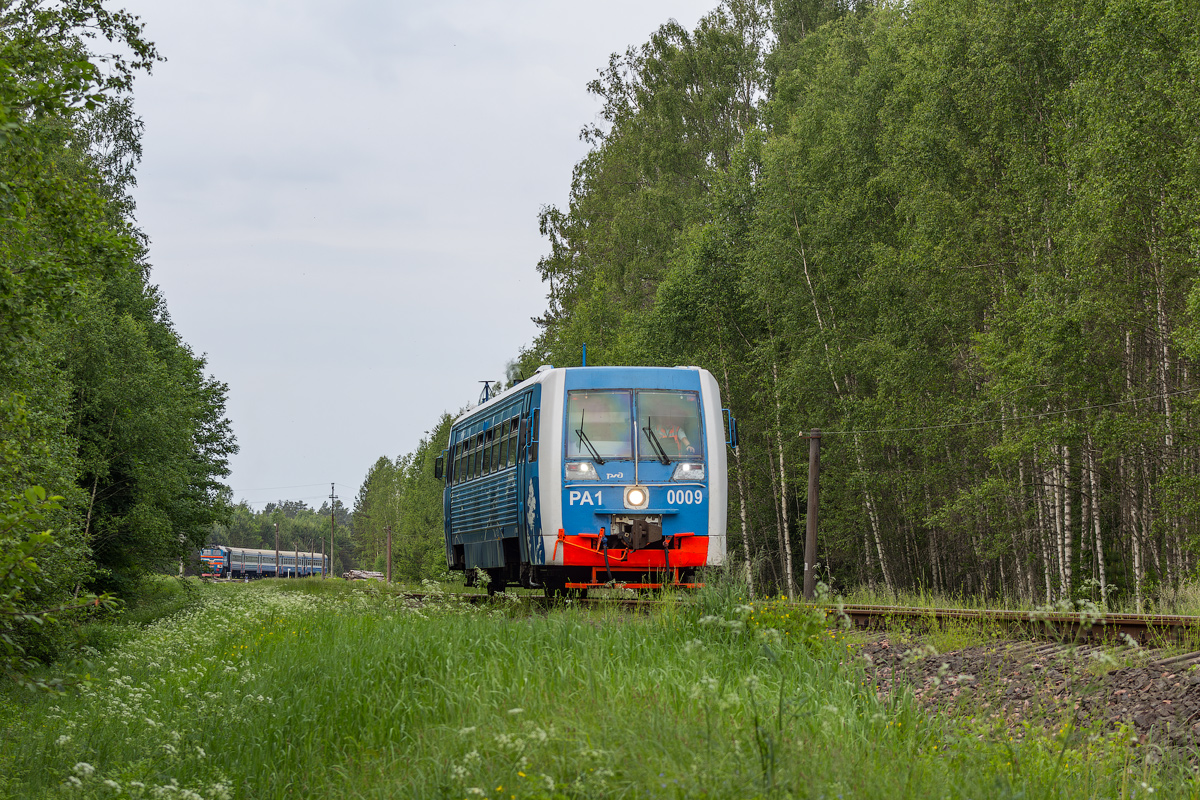 РА1-0009