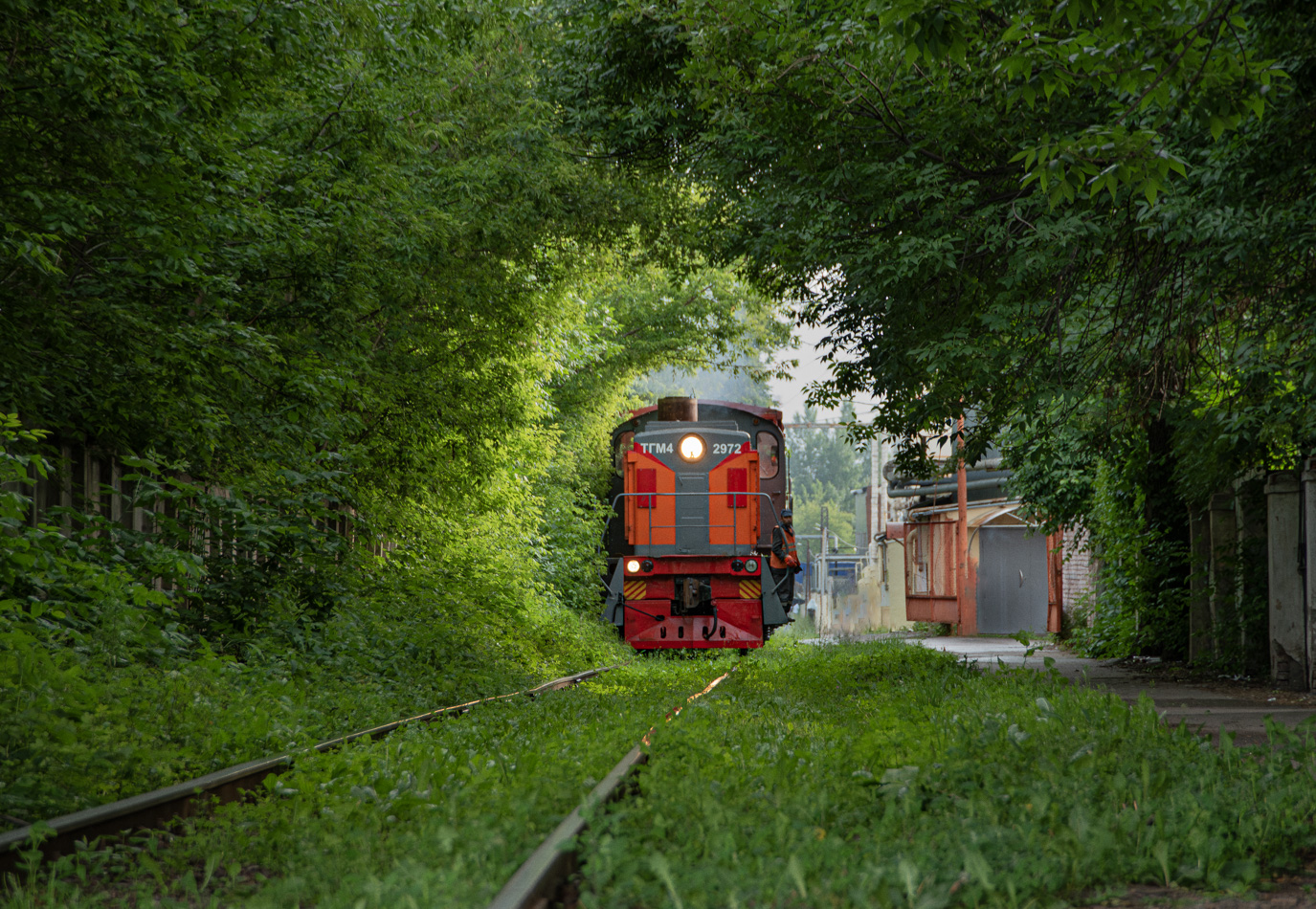 ТГМ4-2972