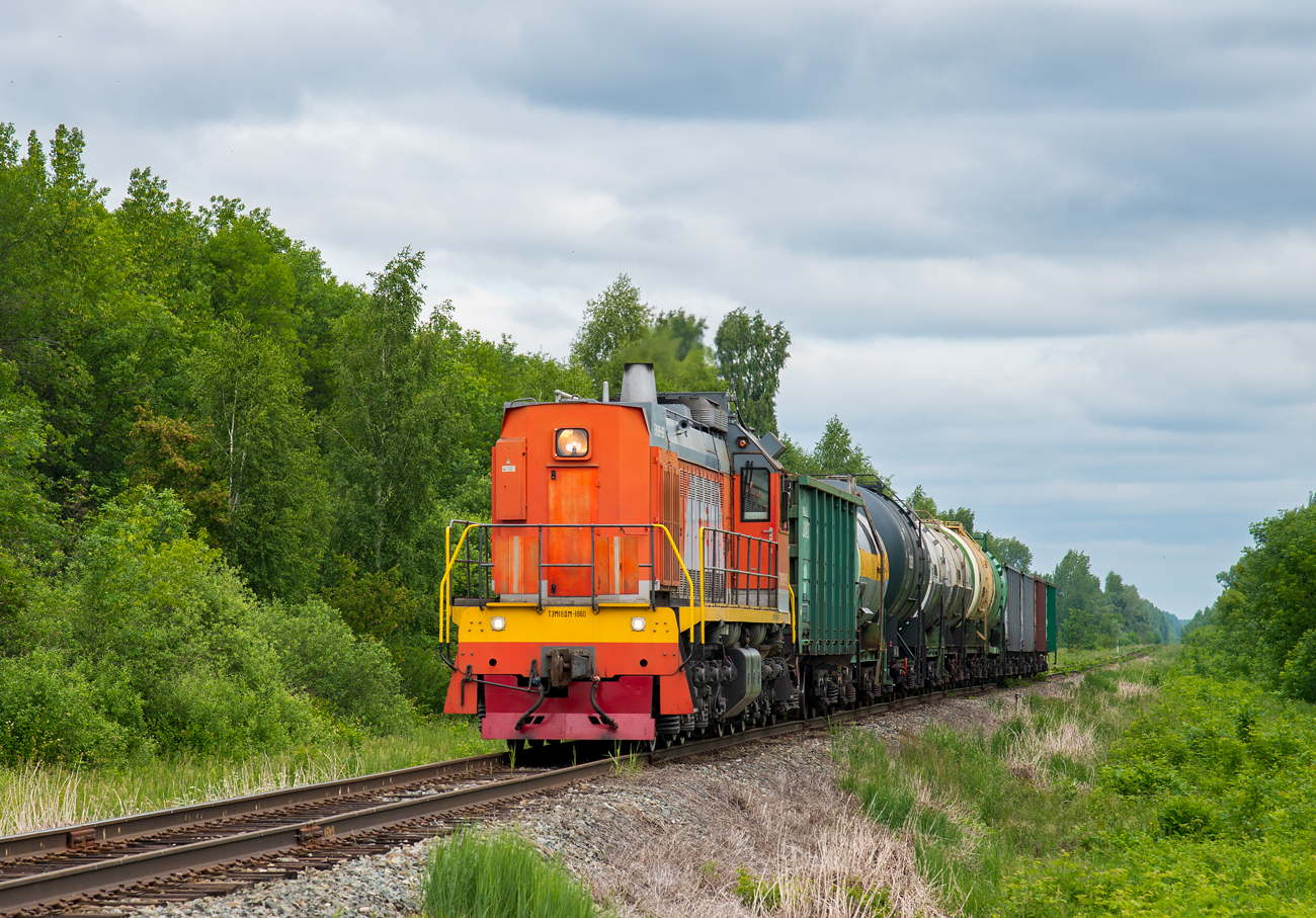ТЭМ18ДМ-1860