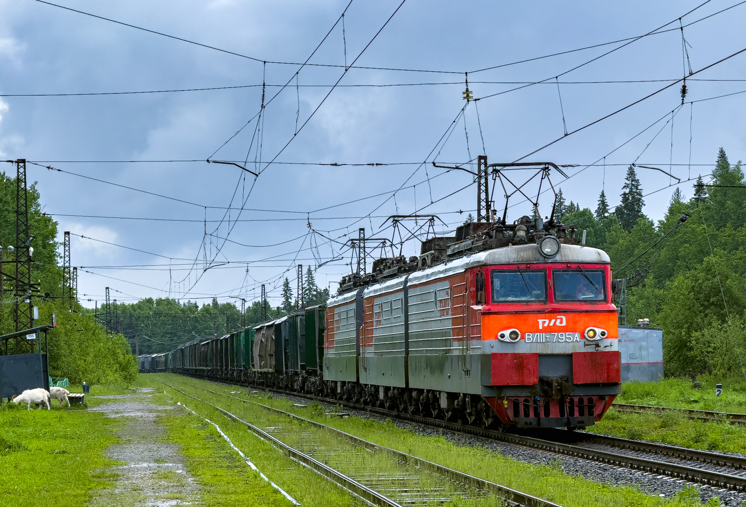ВЛ11.8-795