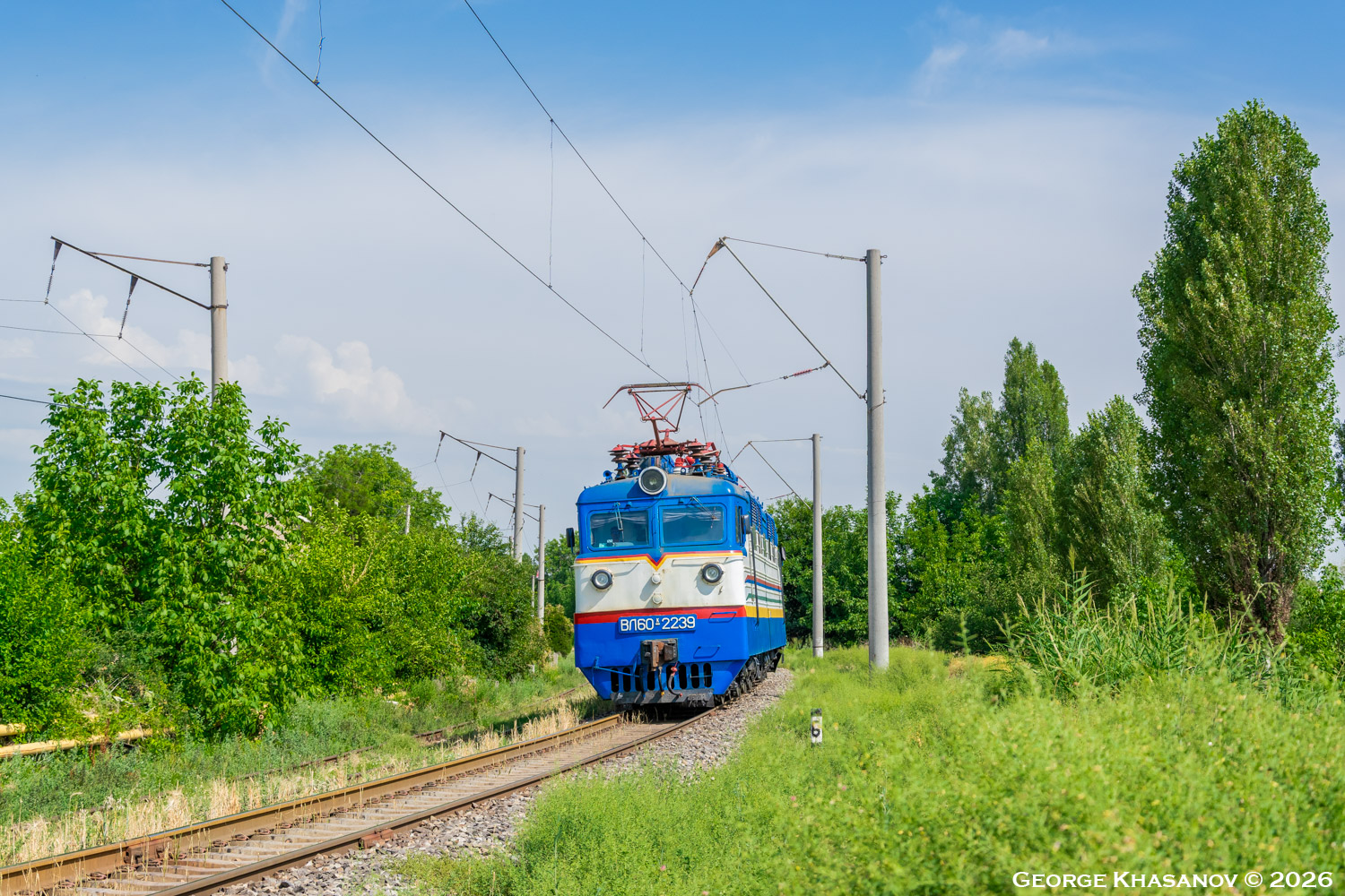 ВЛ60К-2239
