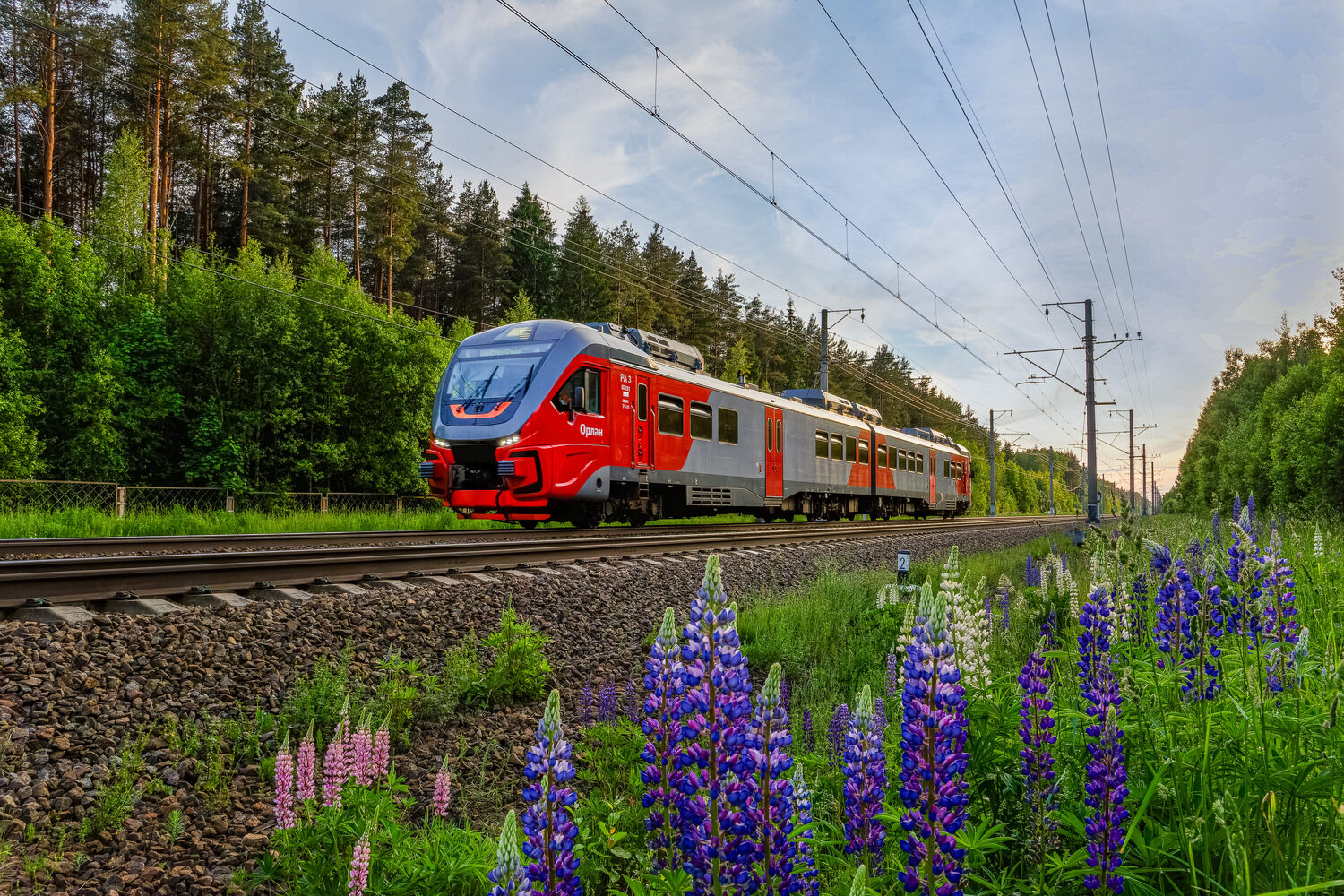 РА3-071
