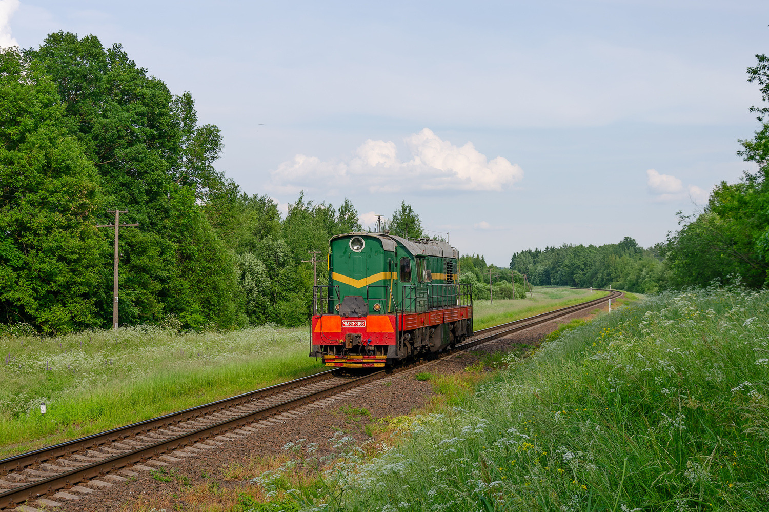 ЧМЭ3-3166