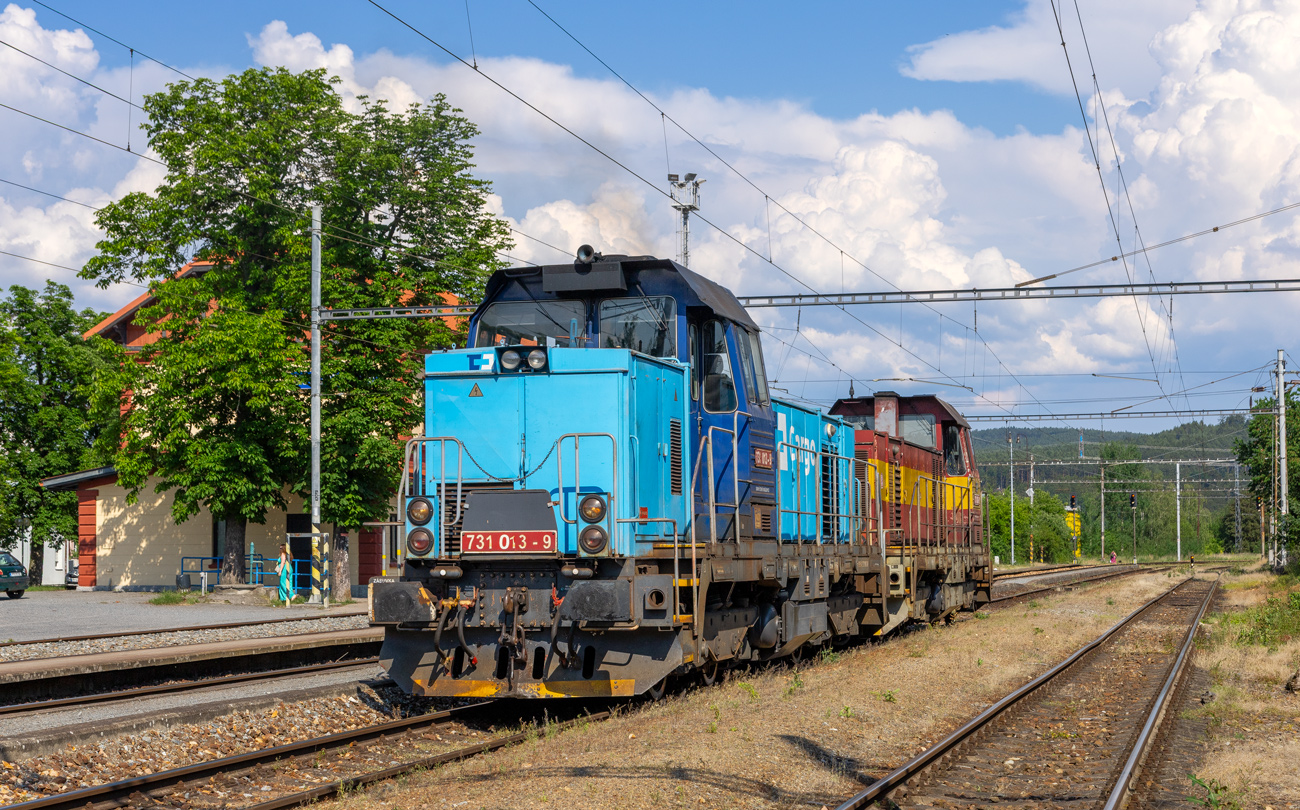 731 013-9