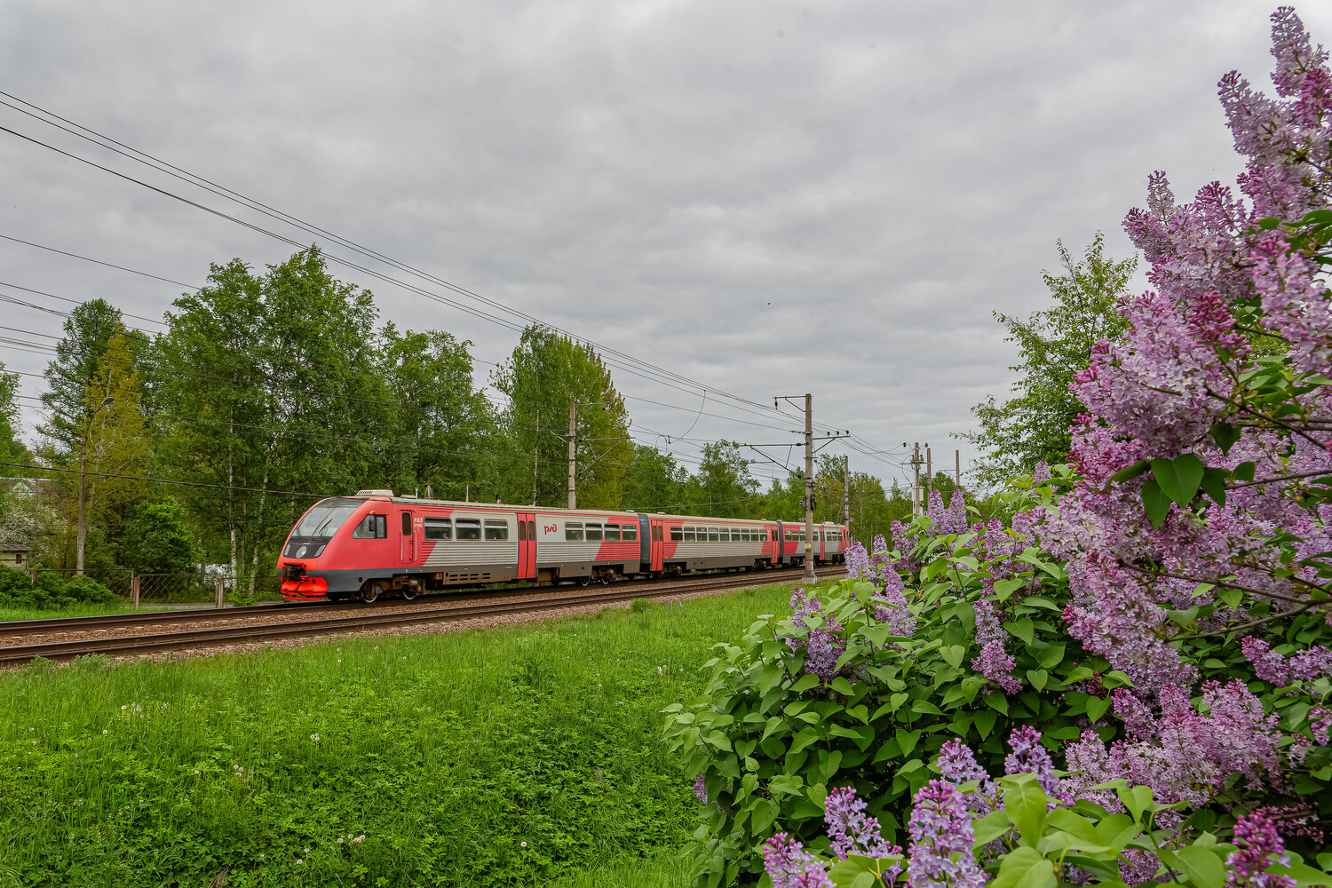 РА2-019
