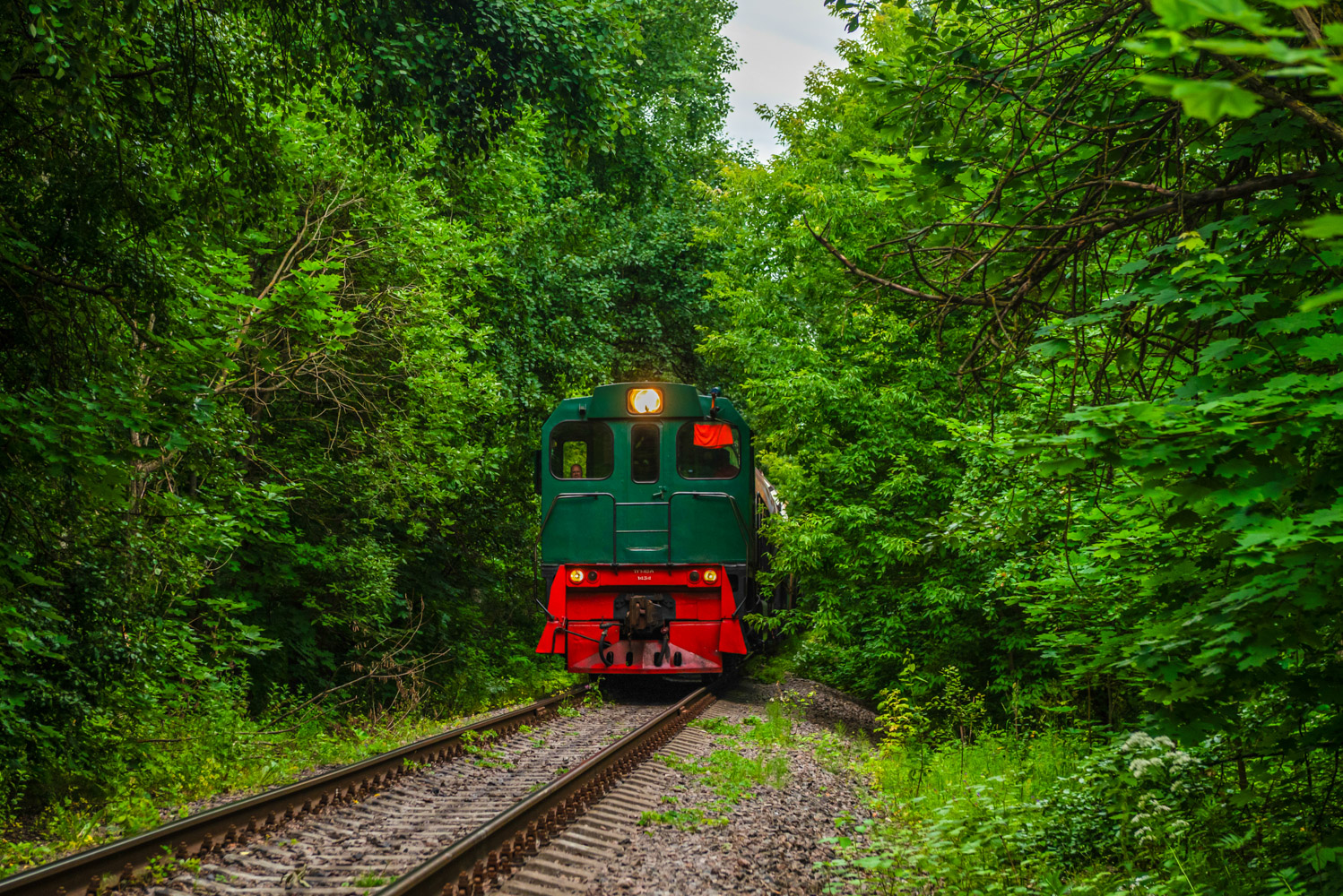 ТГМ6А-1434