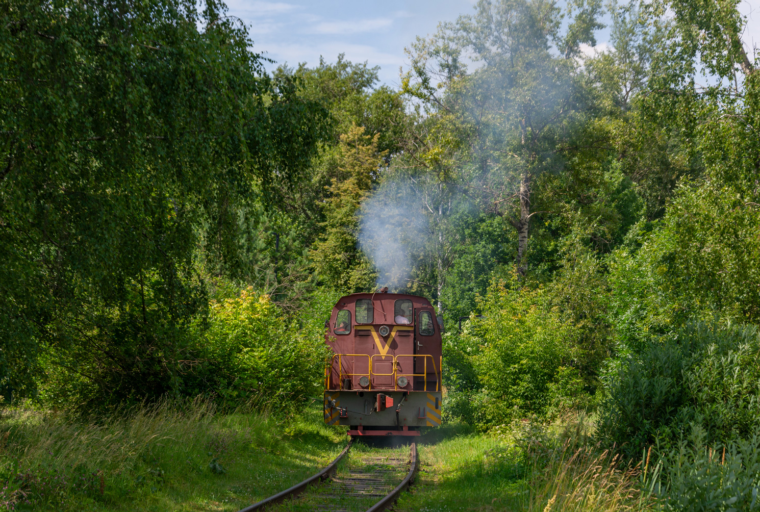 ТГМ23В48-1076