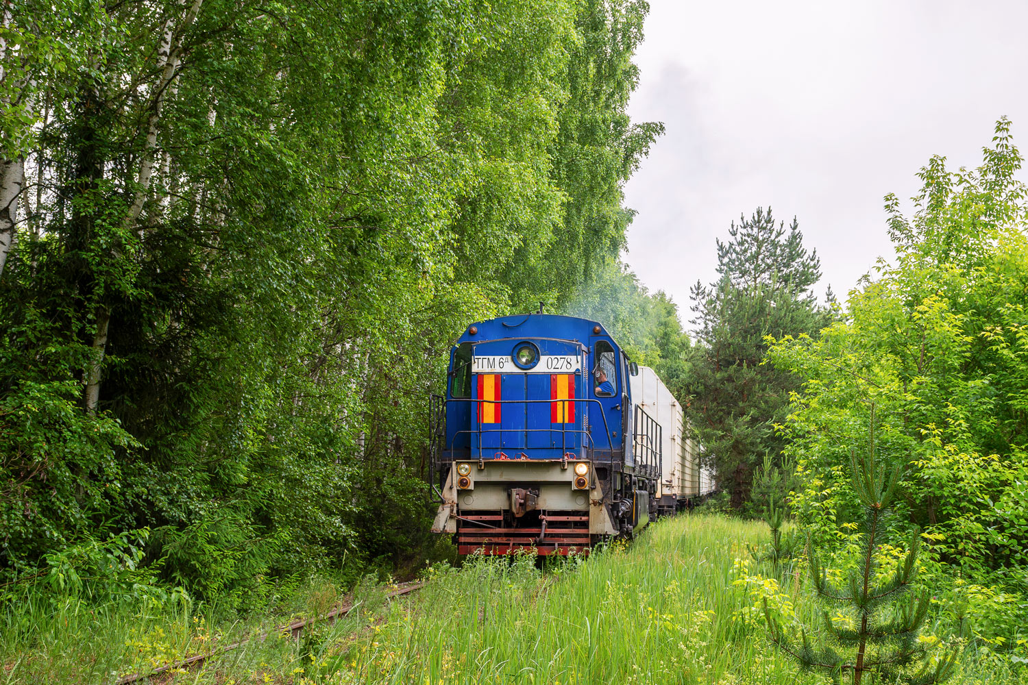 ТГМ6Д-0278