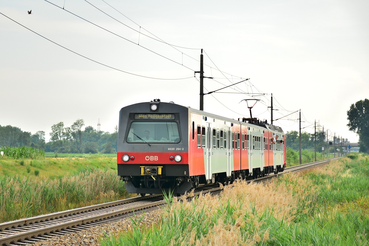 4020 294-7