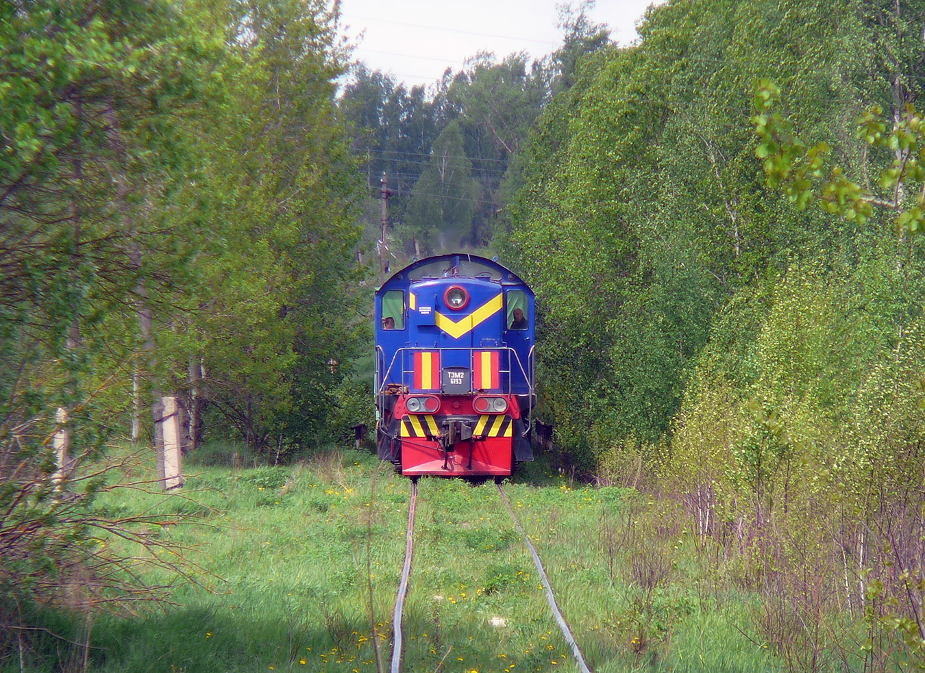 ТЭМ2-6193