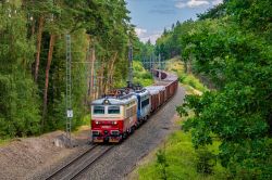242 234-3 (ČD Cargo); 242 254-1 (ČD Cargo)