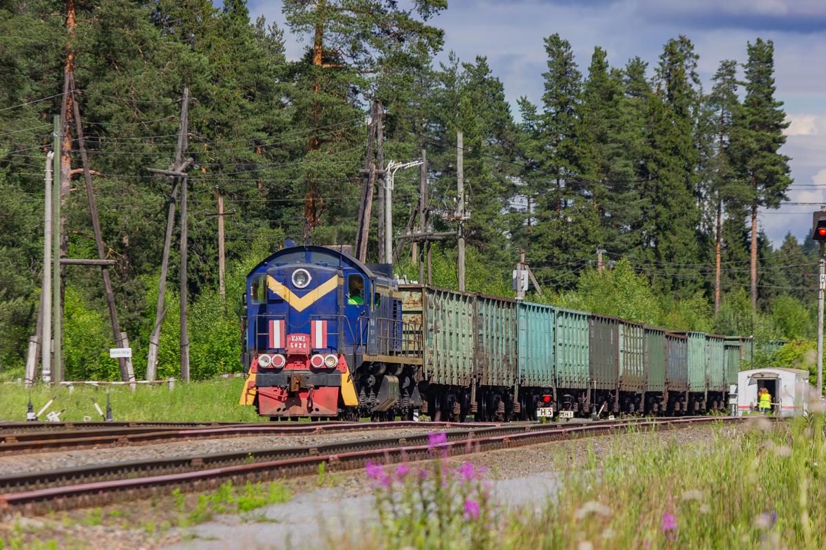 ТЭМ2-5024