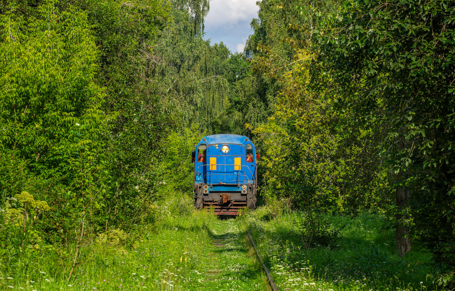 ТГМ6Д-0344